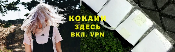 spice Алексеевка