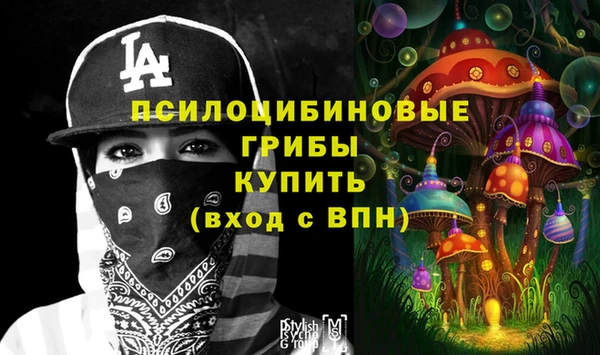 героин Алексин