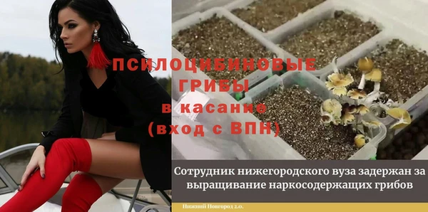 героин Алексин